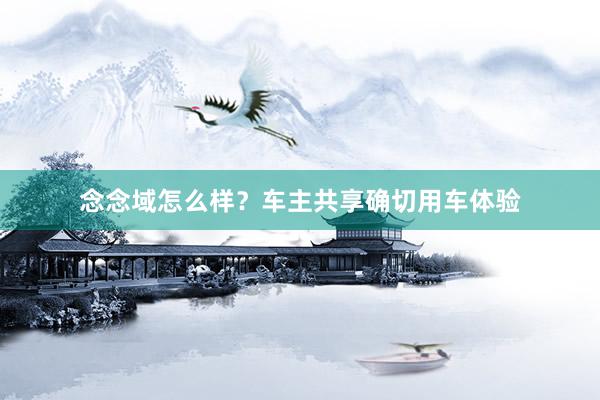 念念域怎么样？车主共享确切用车体验